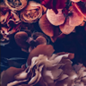 Meet your Posher, Maddison